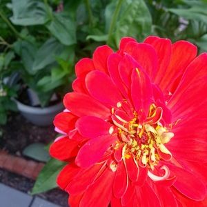 Meet your Posher, April